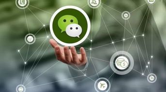 微信上千萬(wàn)別做的危險(xiǎn)行為，三言兩語(yǔ)就可能送你坐牢